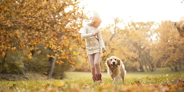 Enjoy the outdoors with you pet at Grace Peck Terrace.