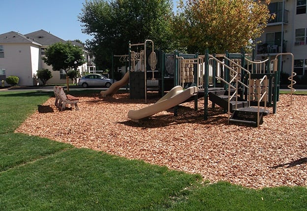 Playground at Orchard Glen
