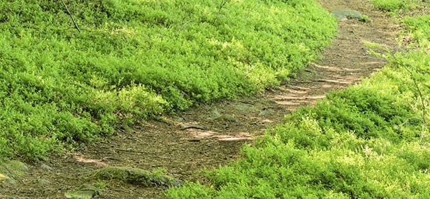 Enjoy an active outdoor lifestyle in Vancouver, WA