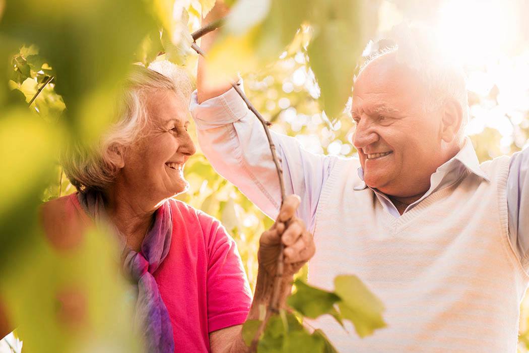Elderly couple frolic in the leaves