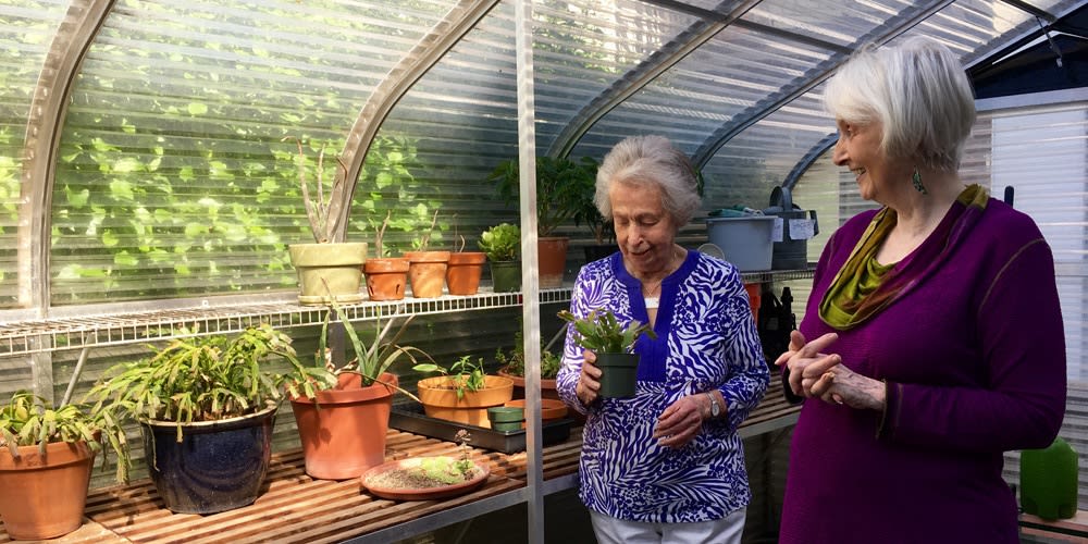 Senior living in Bend features a greenhouse