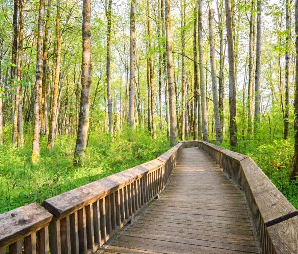 Senior living in Tacoma has trails nearby