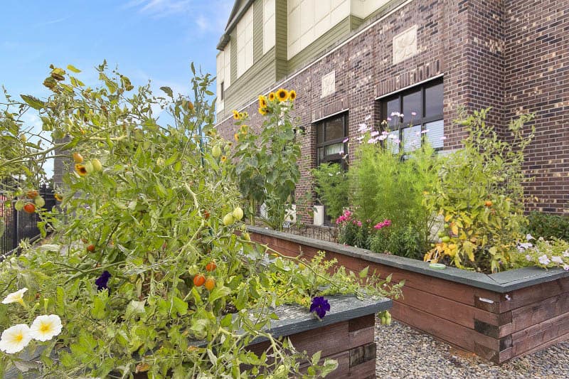 raised garden beds at Merrill Gardens at Tacoma in Tacoma, Washington. 