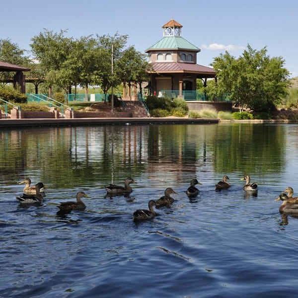 Recreation near the neighborhood of Anthem senior living