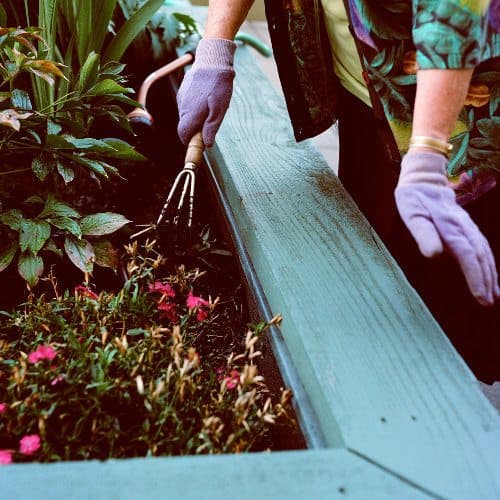 Create a garden at Merrill Gardens at Ballard