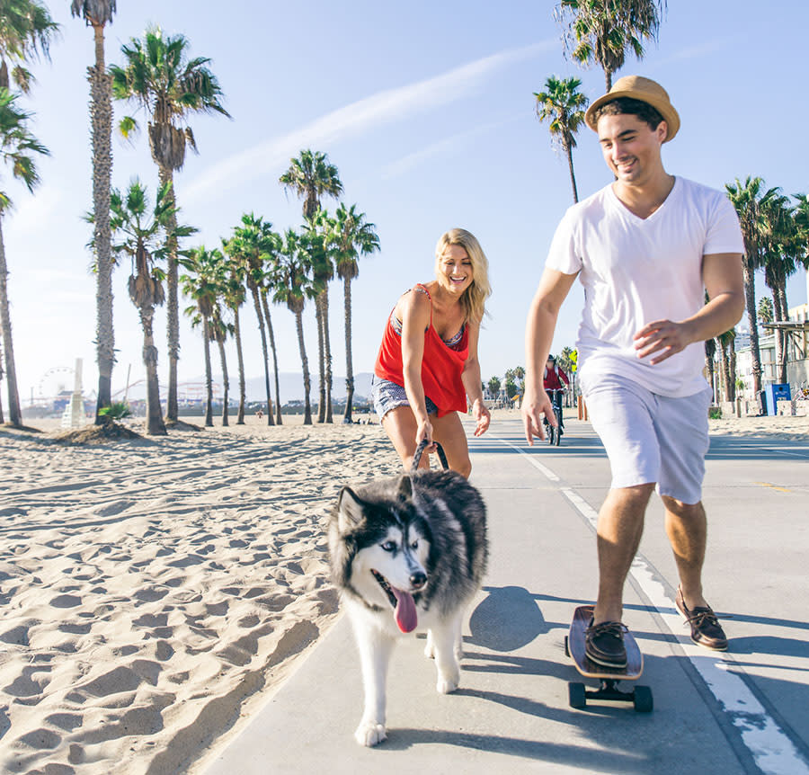 Our apartments in San Diego are pet friendly