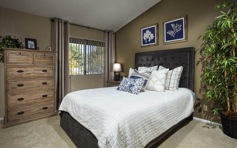 Apartment Amenities at Avana San Clemente Apartments in San Clemente