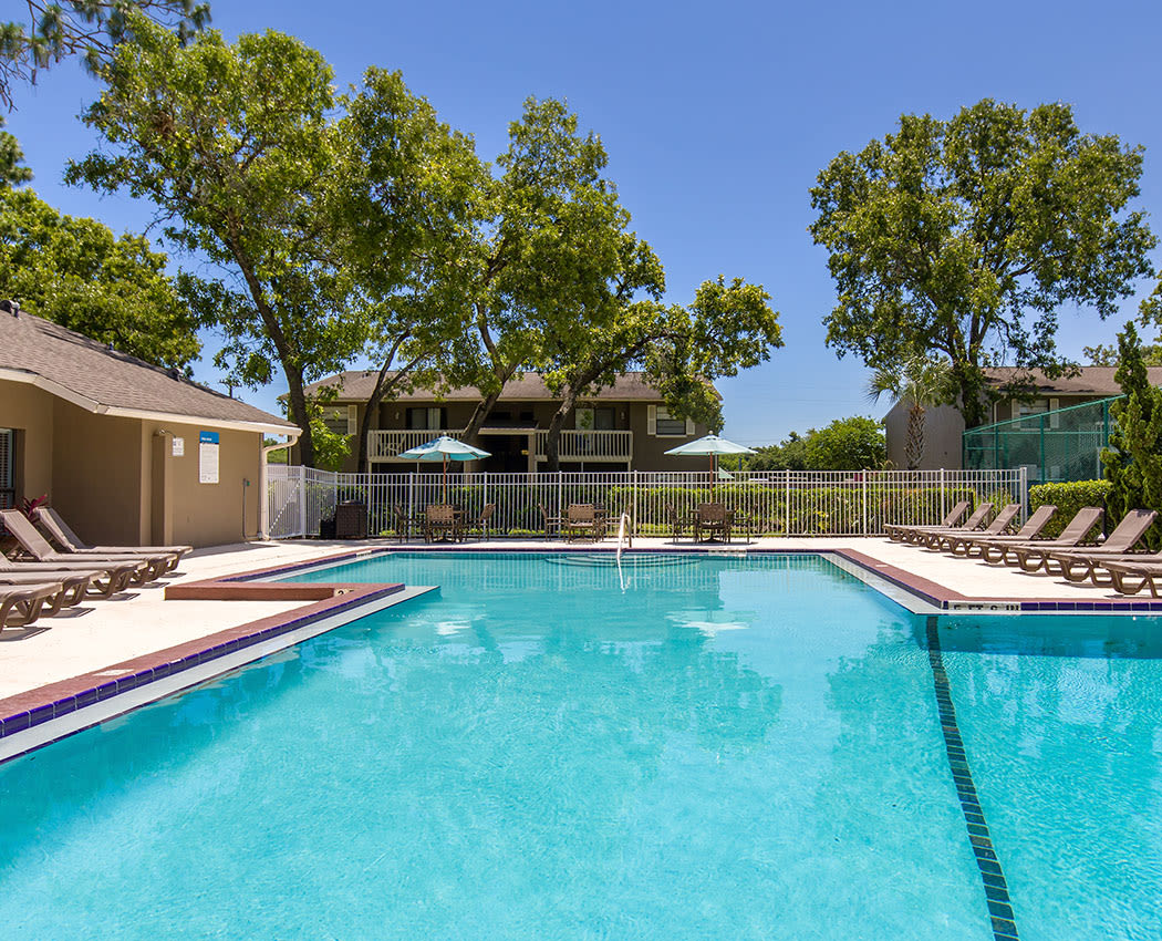 Pool at Arbors at Orange Park