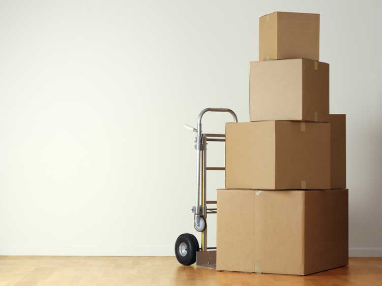 shipping boxes in Davidson
