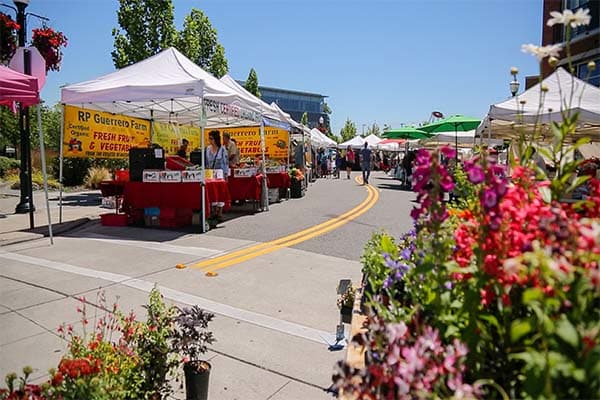 the-maverick-farmers-market
