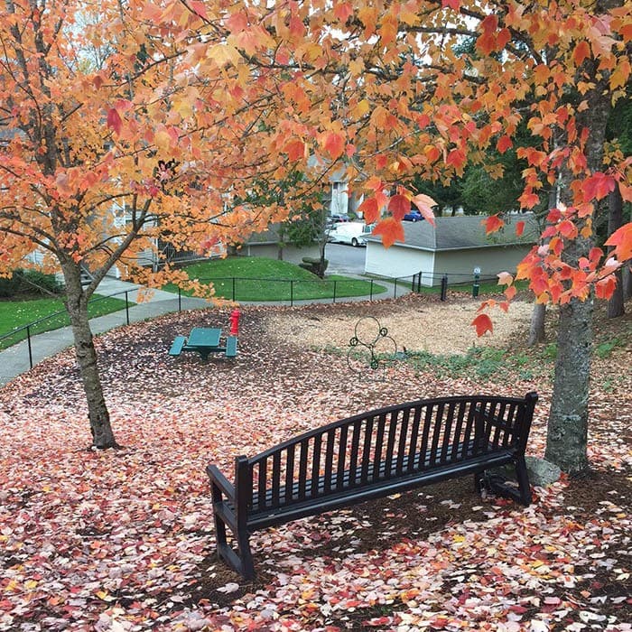 Enjoy the neighborhood at Pebble Cove Apartments in Renton