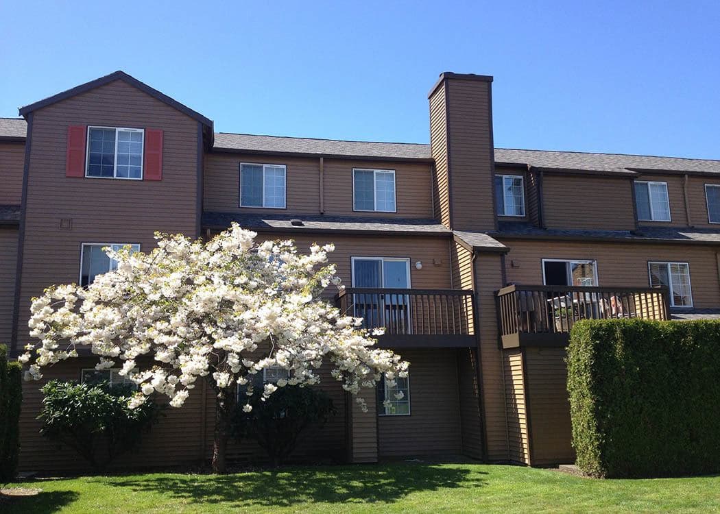 Lawn at Renaissance at 29th Apartments