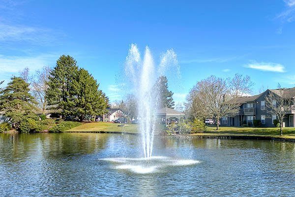 Pet Friendly apartments at Waters Edge Apartments
