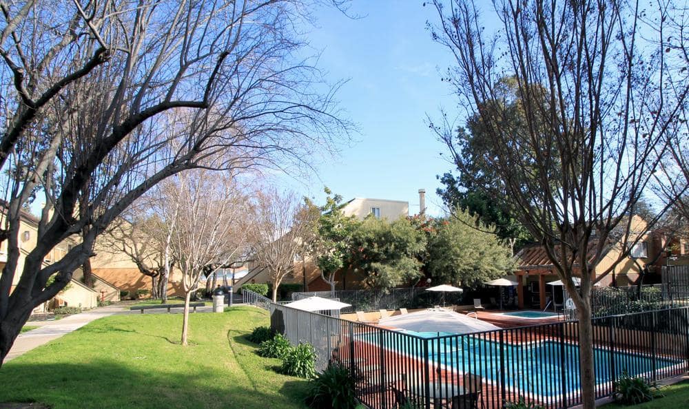 Pet Friendly apartments at The Timbers Apartments