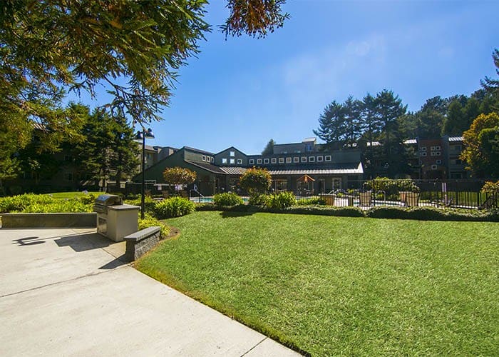 On-Site BBQ area and open grass area at Serramonte Ridge Apartment Homes in Daly City