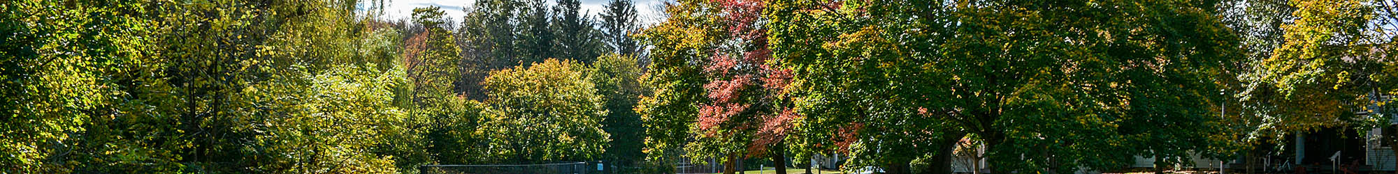 Amenities at Fox Hill