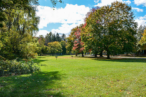 Neighborhood at Fox Hill