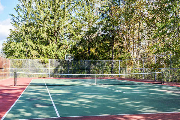 Tennis at Fox Hill