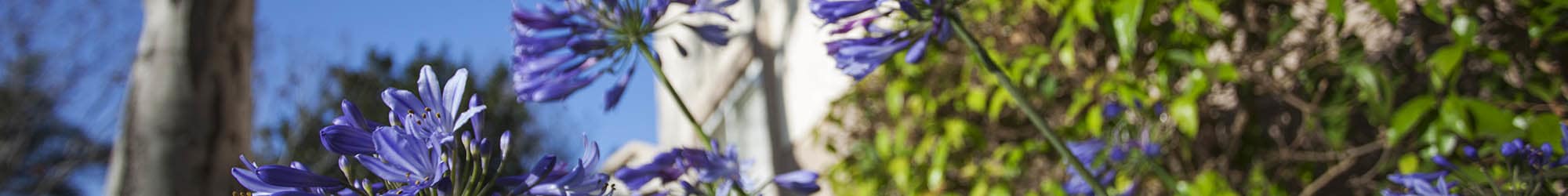 Explore the neighborhood near Cypress Meadows Senior Apartments