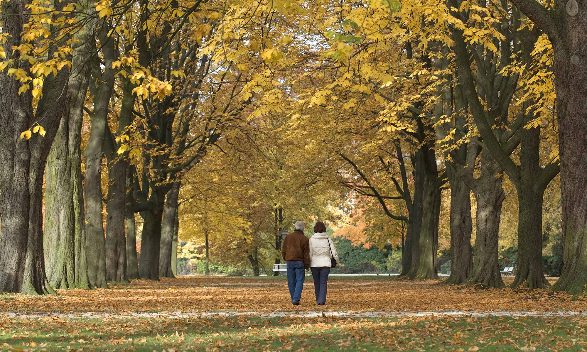 Learn more about Baldwin Oaks; contact us for a tour today.