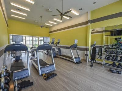 Fitness center at Springs at McDonough in McDonough