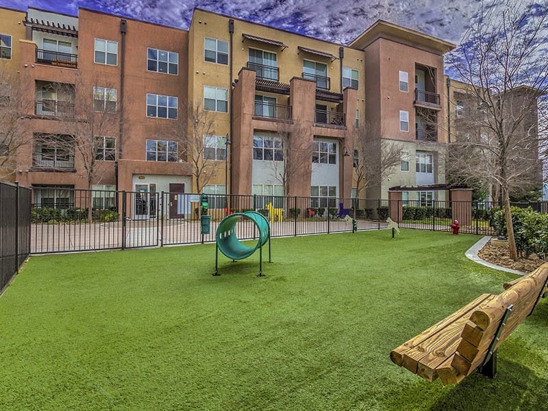 On-site dog park at Lofts at 7100