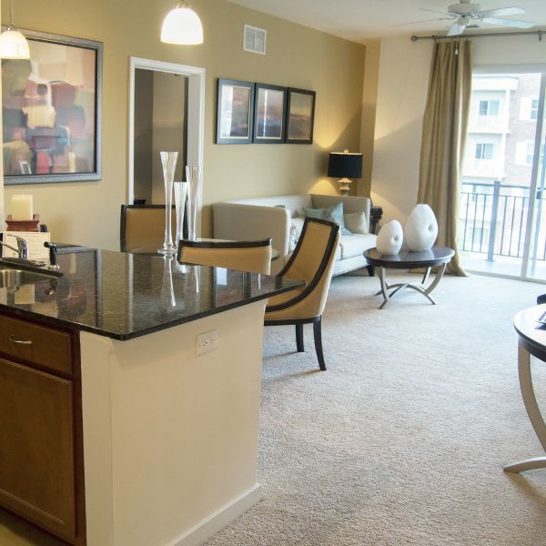 Our floor plans at The Flats at West Broad Village in Glen Allen are open and spacious, with 14' ceilings!