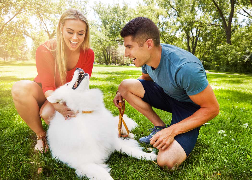 Couple plays with their fluffy white dog near Addison Keller Springs in Addison