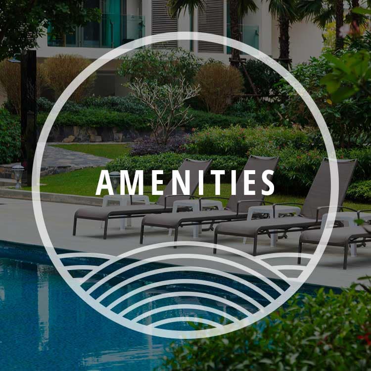 Kent Wa Apartments For Rent Near East Hill Chandlers Bay
