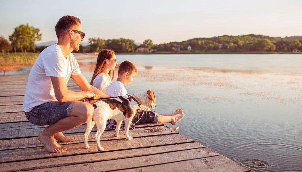 Couple and their son playing with their dog at the lake near Chandlers Bay