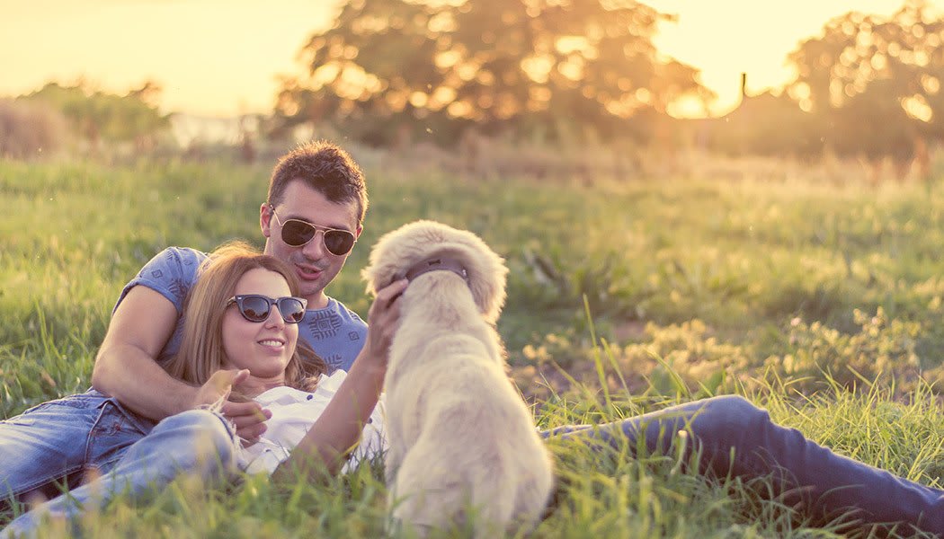 Resident couple playing with their dog in a beautiful field at dusk near Hamptons Apartments in Puyallup