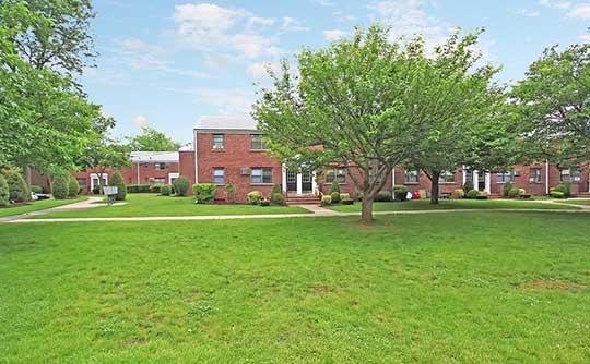The green grass at Boulevard Apartments is a perfect area to let your cat roam.