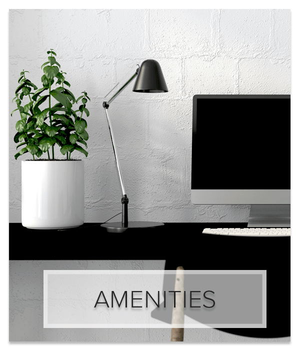 Northeast Washington, DC Apartments Edgewood Commons