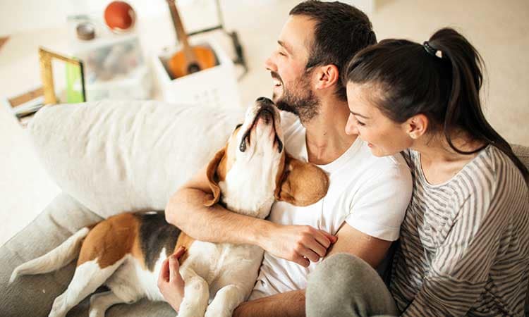 A couple with their dog at Columbia Commons 