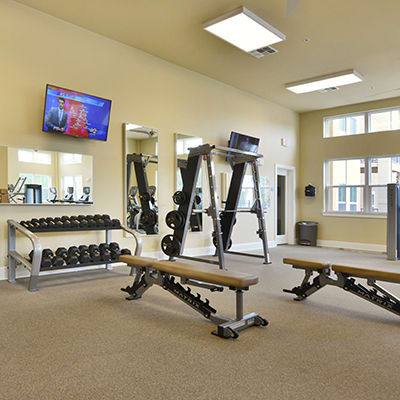 Use one of two on-site fitness studios at Lola Apartments in Riverview, Florida