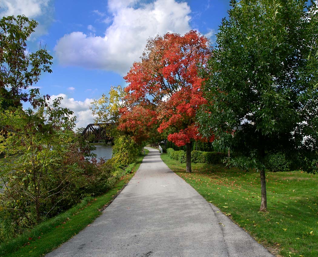 Paved path at Hickory Hollow