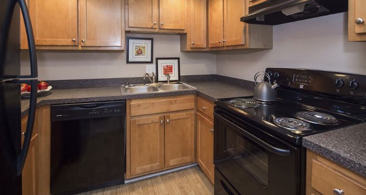 Kitchen at The Trails of North Hills