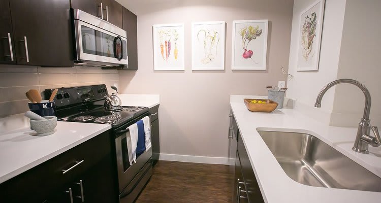 Kitchen at Cleveland apartments.