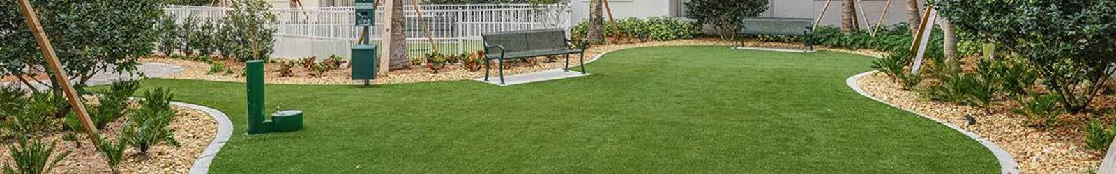 Pet friendly apartments in Sarasota