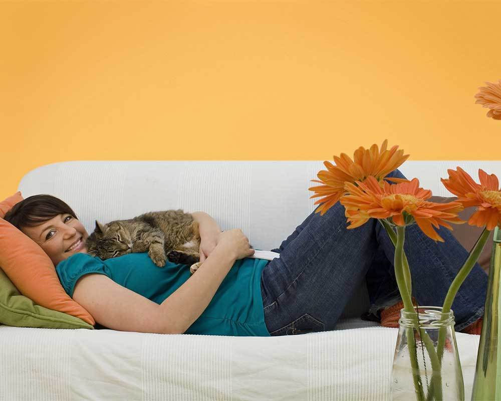 Knollwood Apartments welcomes you and your pet