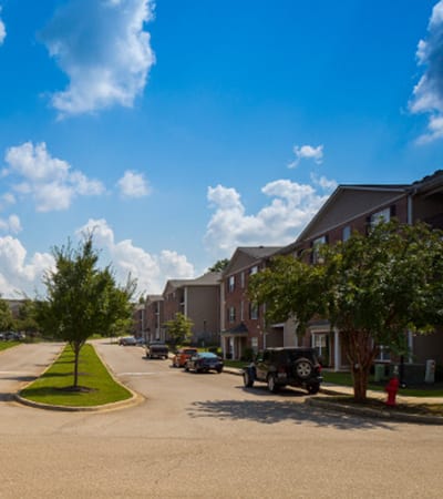View of the neighborhood at Overlook At Golden Hills in Lexington, SC