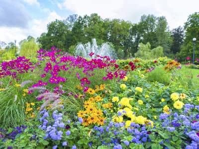 Beautiful garden at Park Guilderland Apartments in Guilderland Center, NY