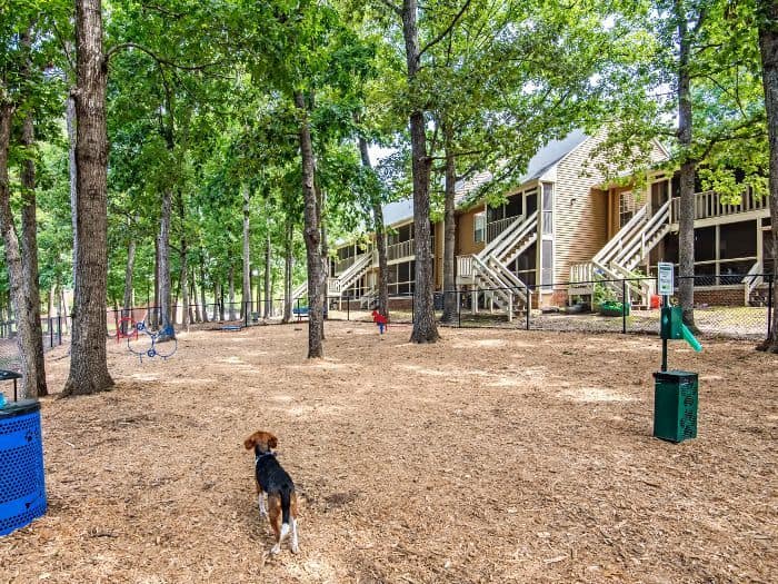 View of the dog park at Six Forks Station in Raleigh