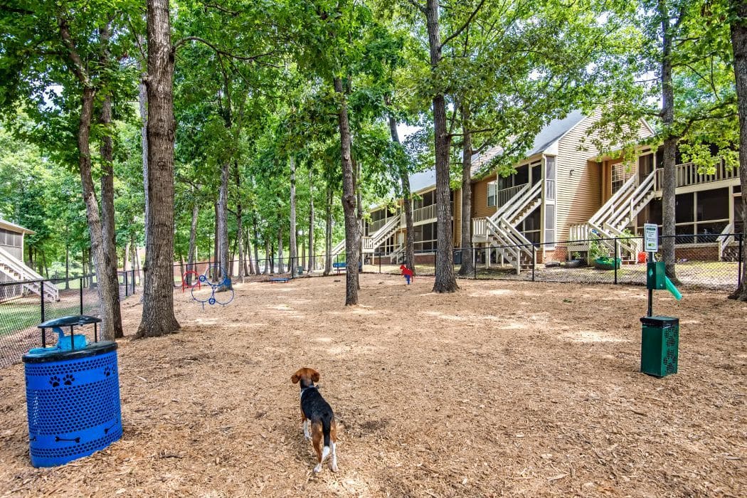Resident and his dog at Six Forks Station