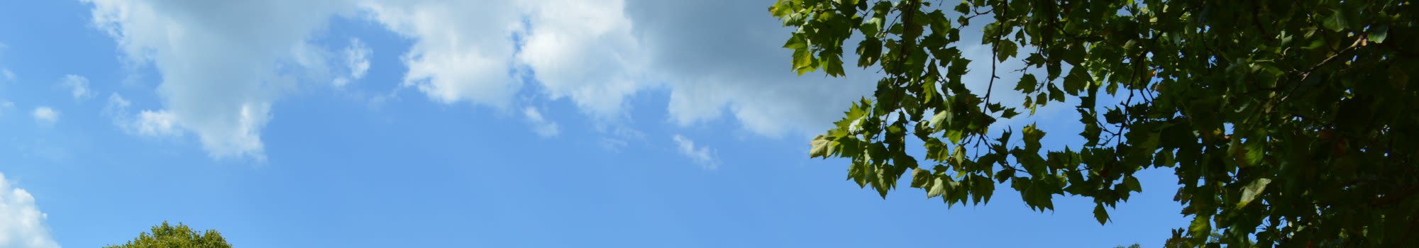 Henrietta Highlands offers a great neighborhood to its residents