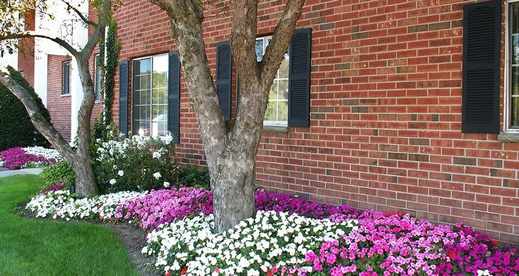 Flowers and trees at Waverlywood Apartments and Townhomes in Webster, NY