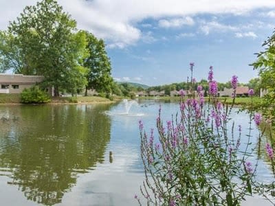 Beautiful views at Emerald Springs Apartments in Painted Post, NY