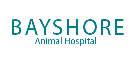 Bayshore Animal Hospital