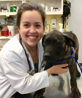Amanda Virkus, VMD at Raleigh Animal Hospital