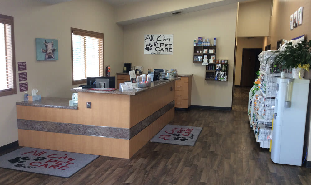 Our Hospital All City Pet Care East